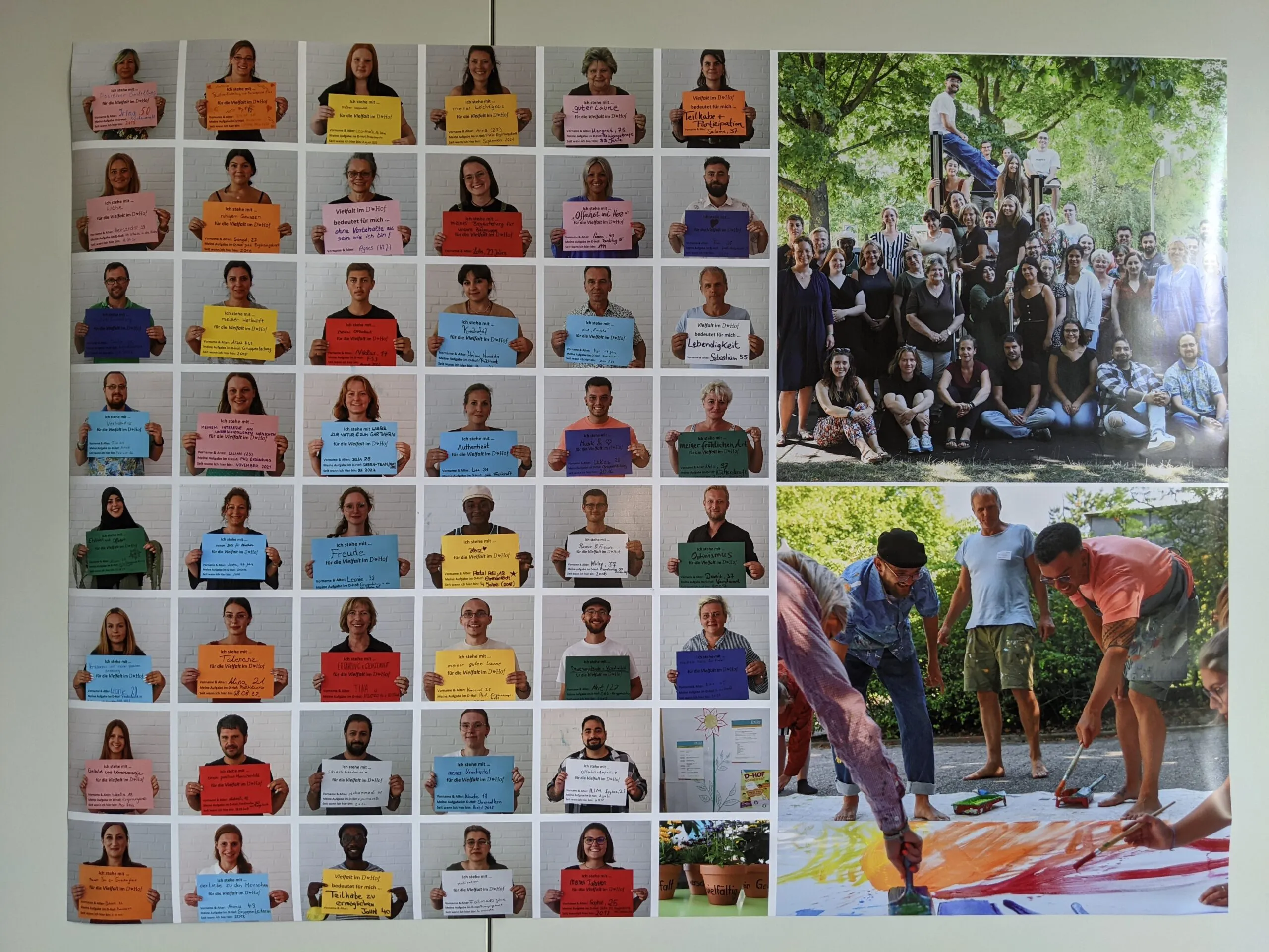 Galeriebild 14