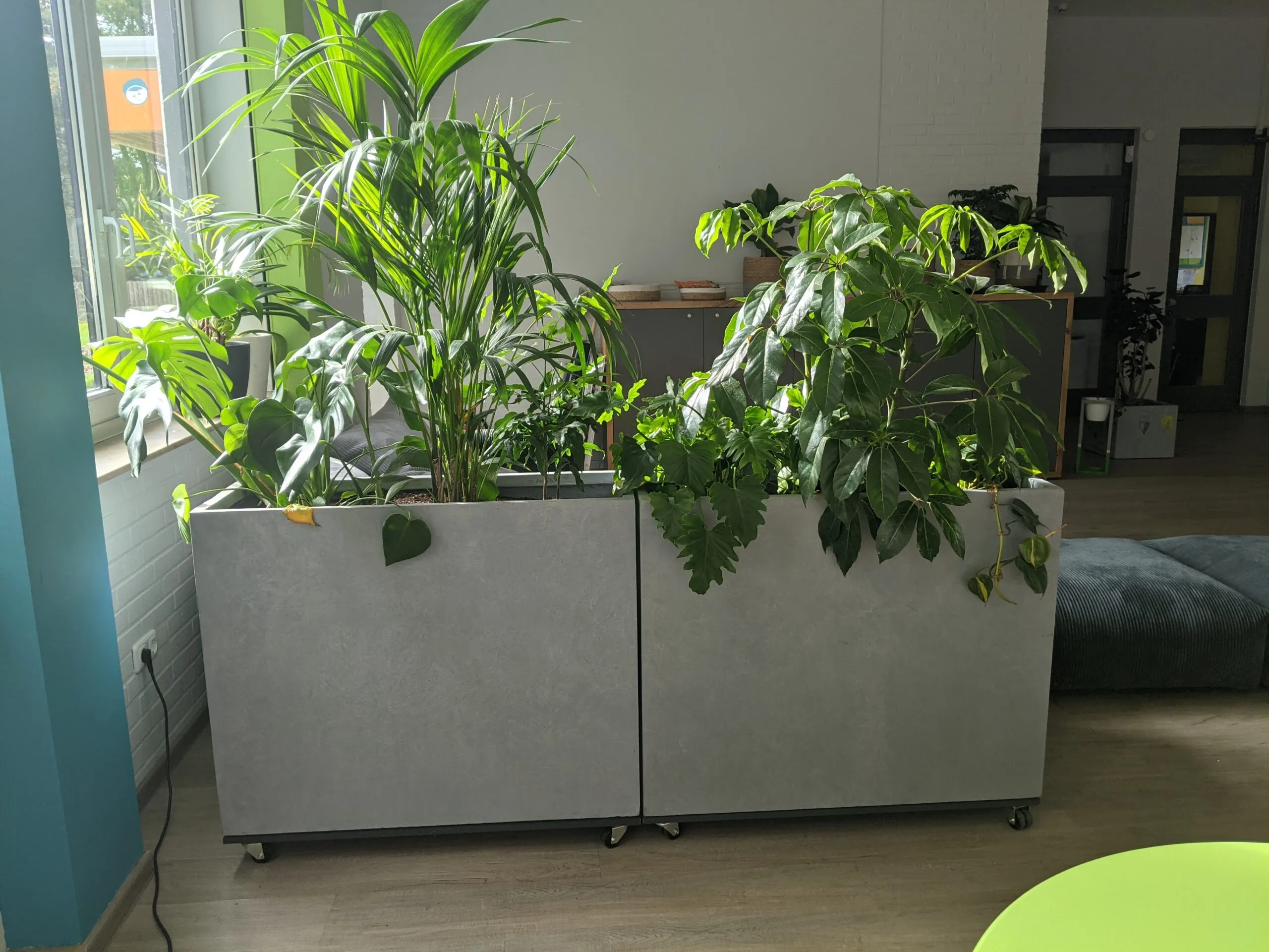 Galeriebild 3