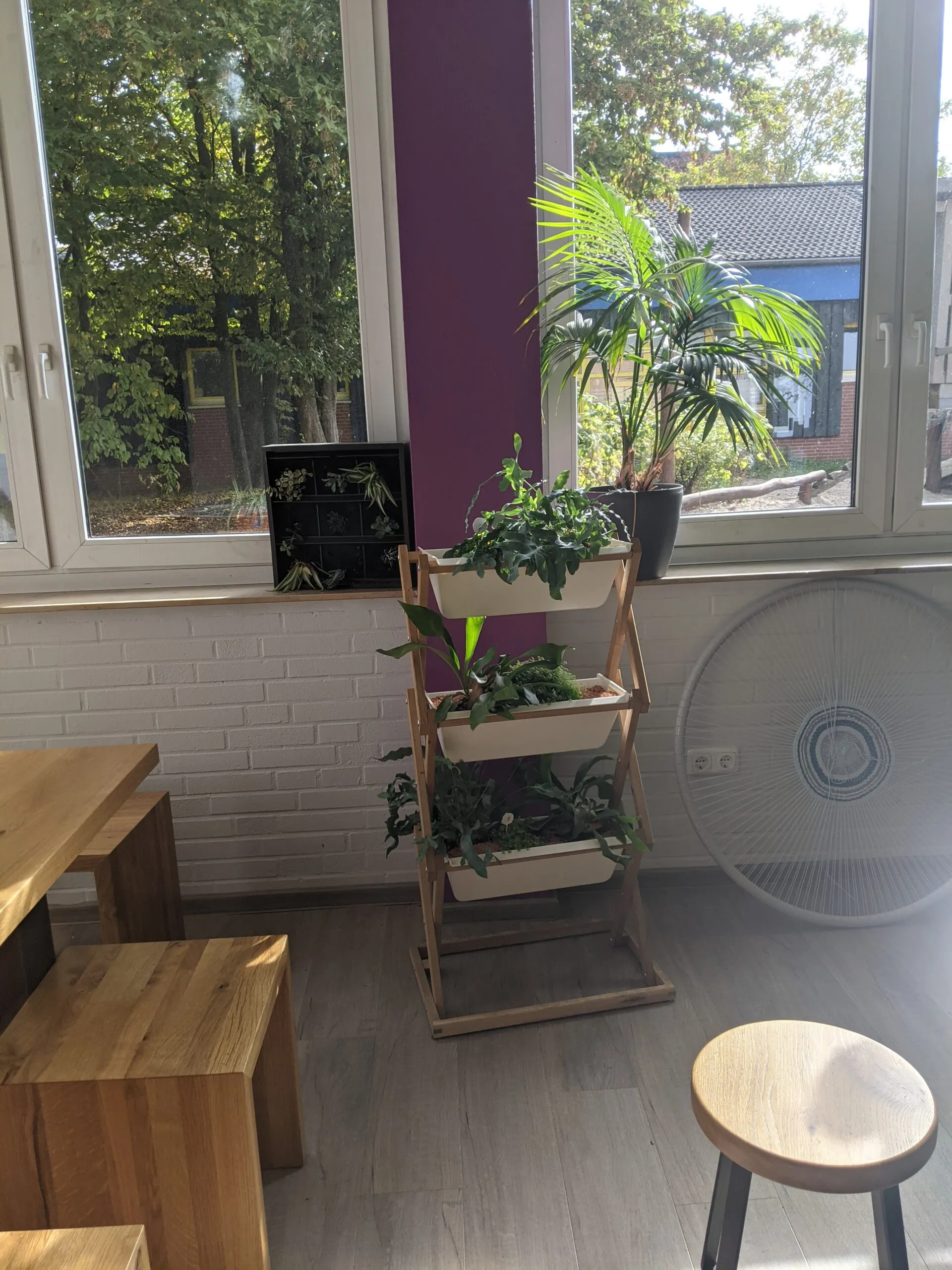Galeriebild 4